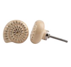 Cream Shell Flat Drawer Knob